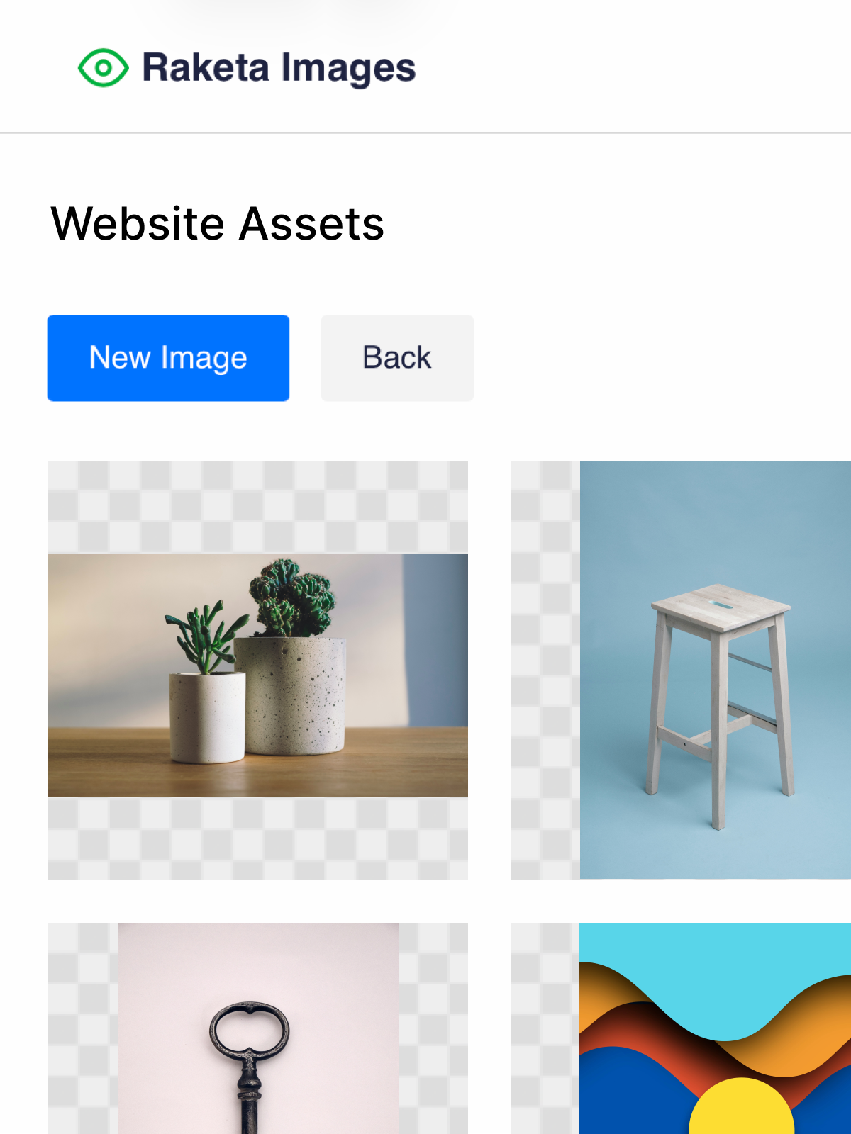 Digital asset management panel with uploaded and auto-optimized images